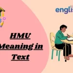 HMU Meaning in Text