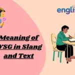 Meaning of WSG in Slang and Text