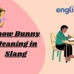Snow Bunny Meaning in Slang